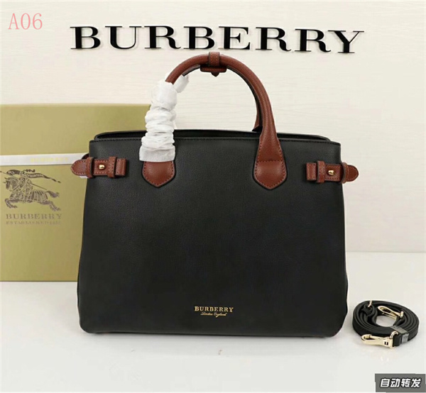 Burberry Bags AAA 010
